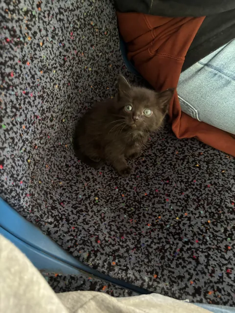 moomin jeans living her absolute best life