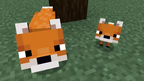 Foxes with normal eyes