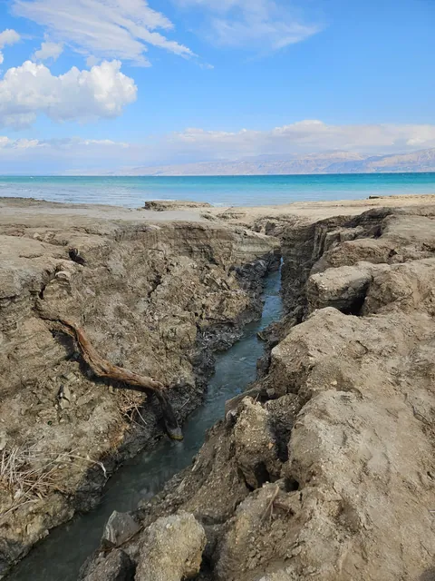 The Dead Sea: a tale in eight pictures