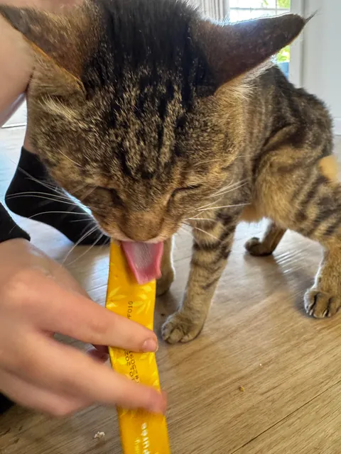 Leo turned 20 today! 🎉🎉🎉