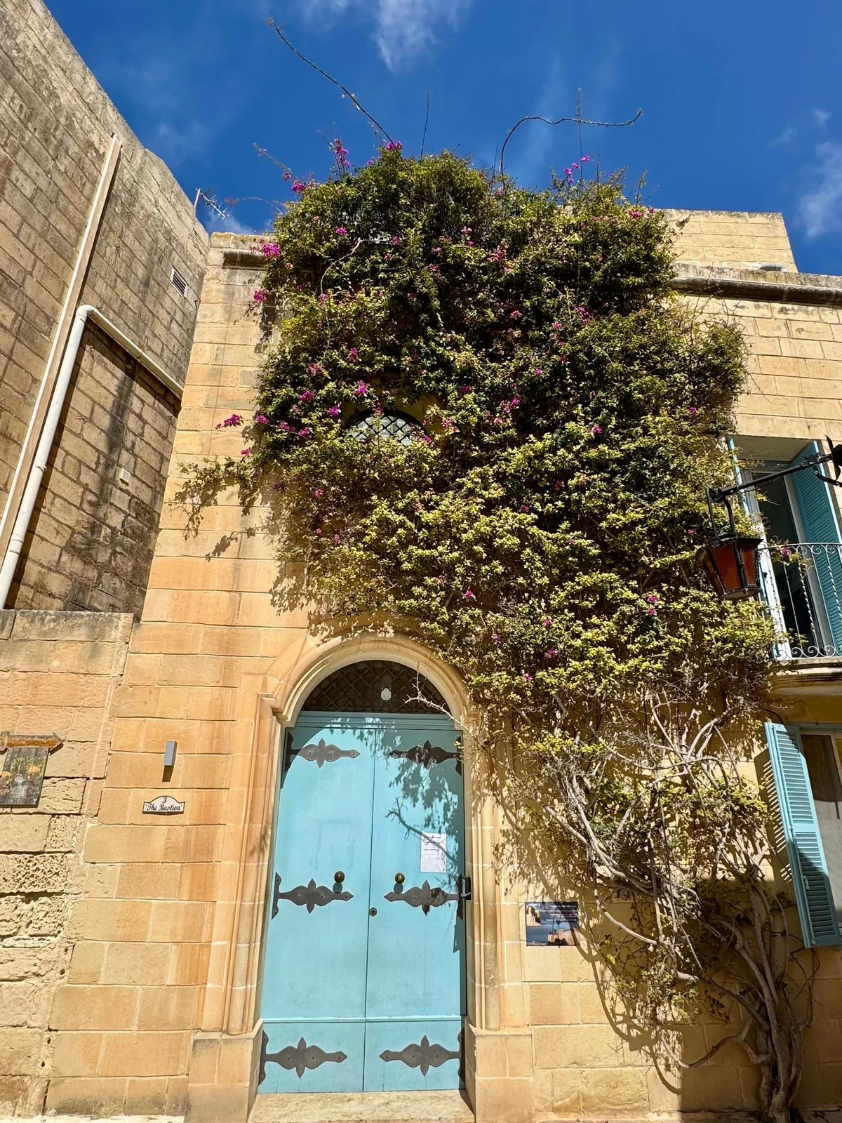 My week in Malta