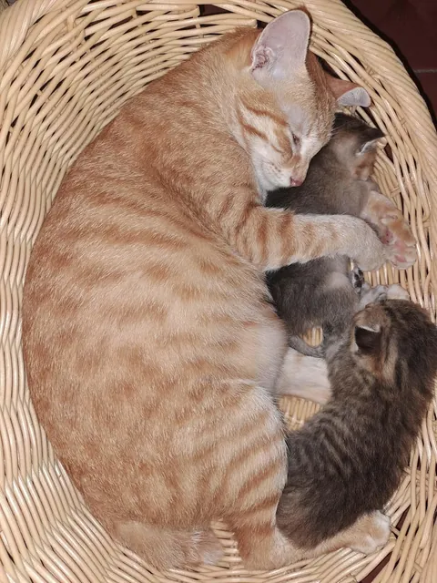 Milk drunk cuties 😂