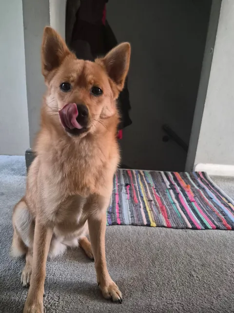 My bestest buddy Felix