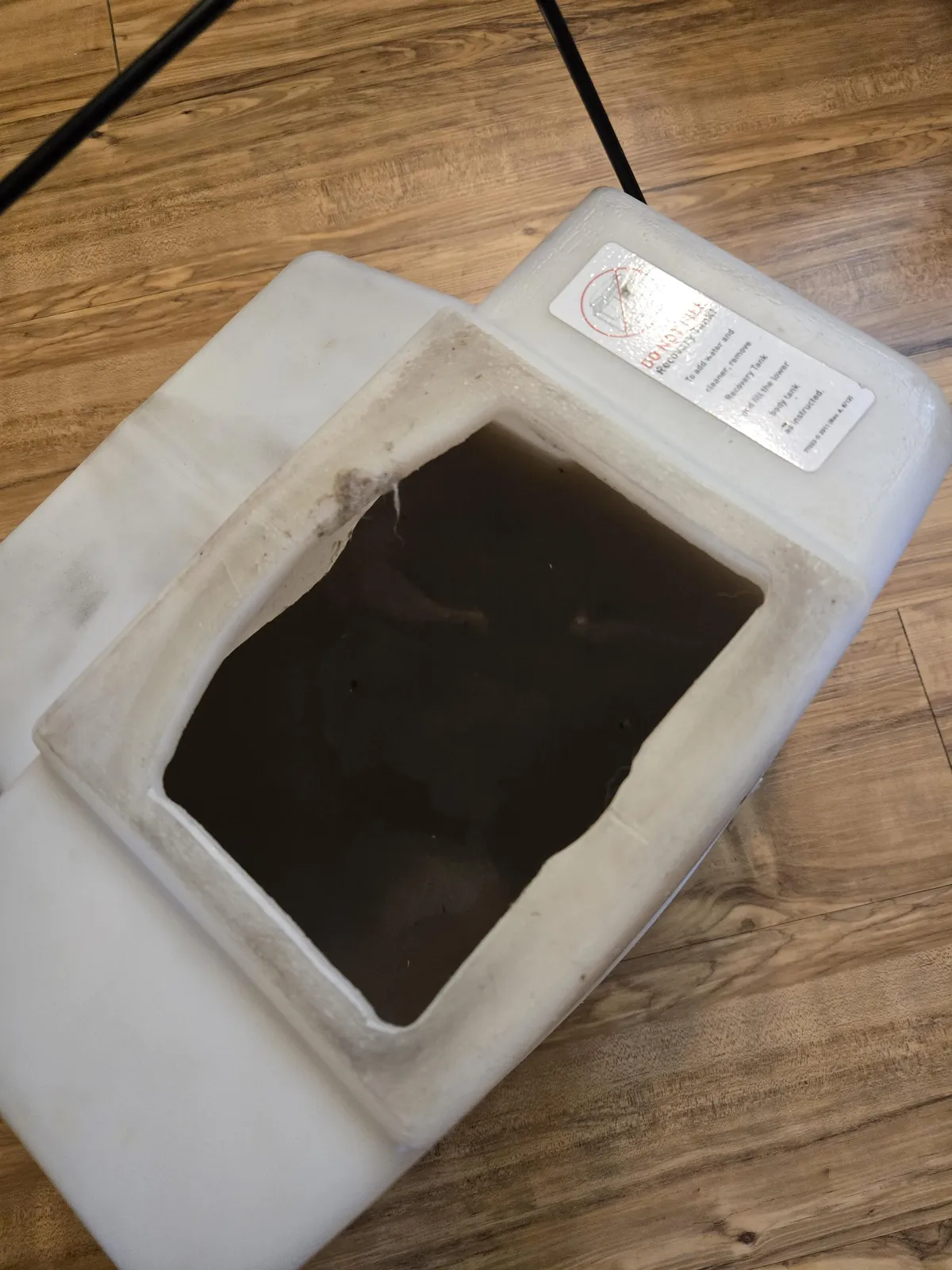 Was told the carpets in our new rental were "professionally cleaned"