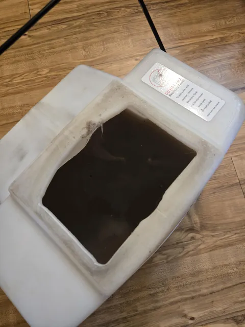 Was told the carpets in our new rental were "professionally cleaned"