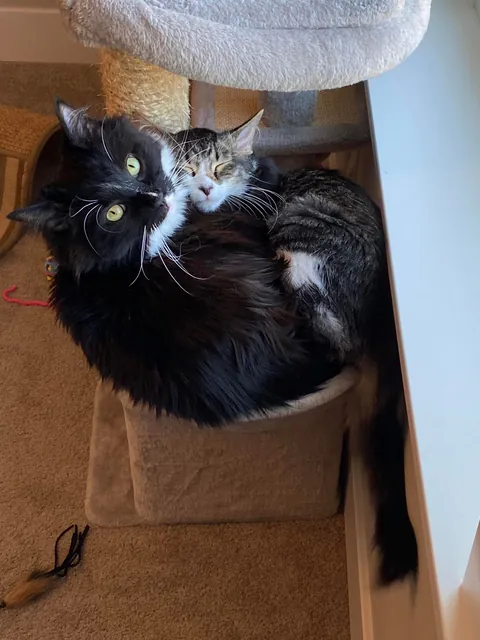 Had to say goodbye to my best friend