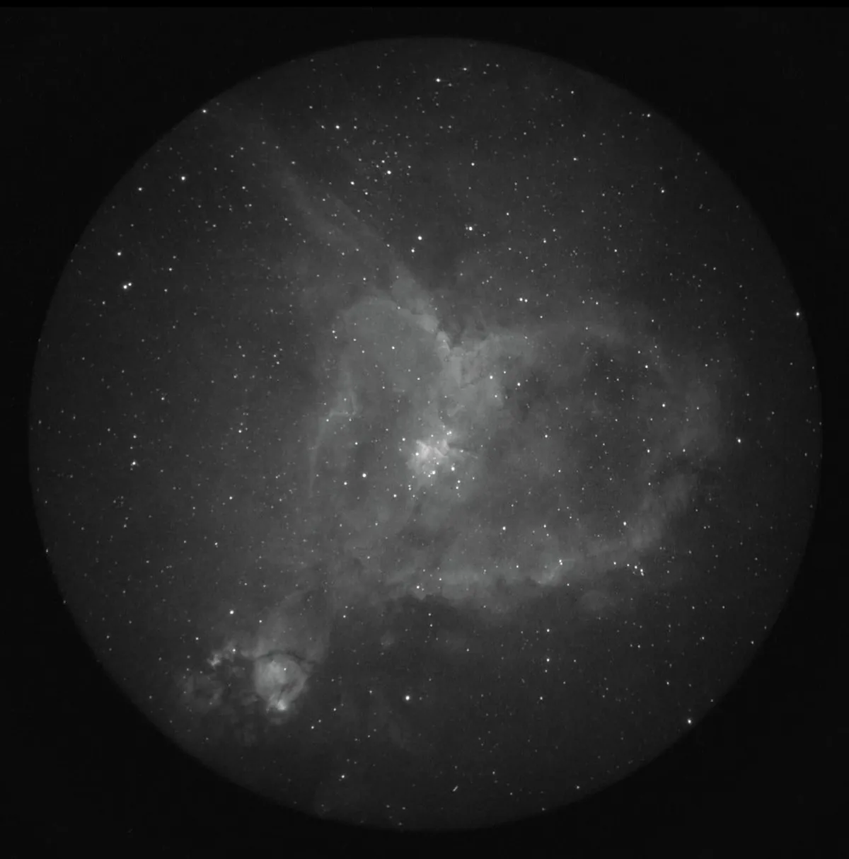 Nightvision with a 16 inch dob and 85mm refractor and iPhone