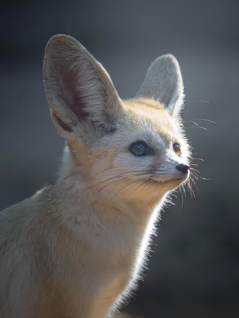 the shape of sunshine