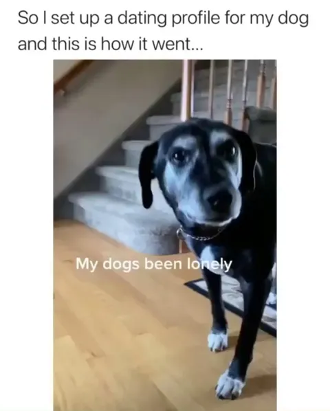 Tinder for your dog
