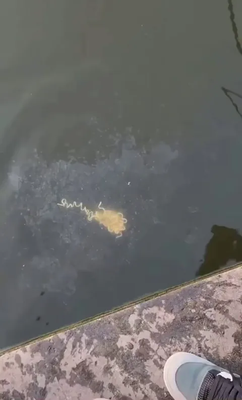 Fishing tip of the day: