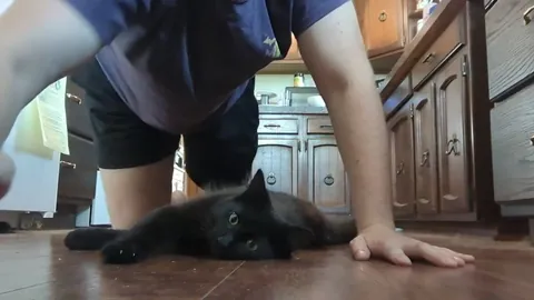 Fitness coach encouraging proper push-up techniques