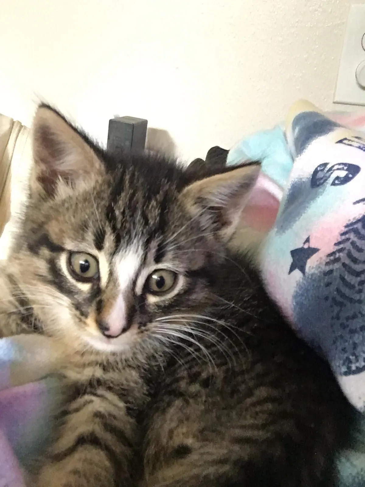 I’m 15, my 17 year old sister just died.