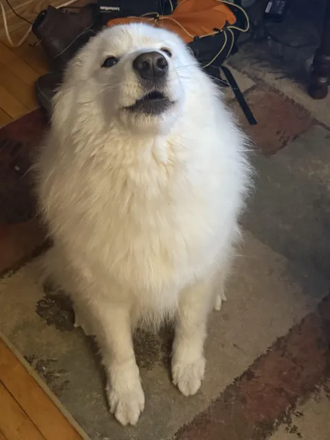 Can you hear this post?