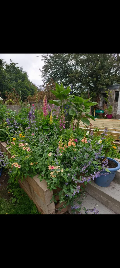 Landscaping on my husband's home office