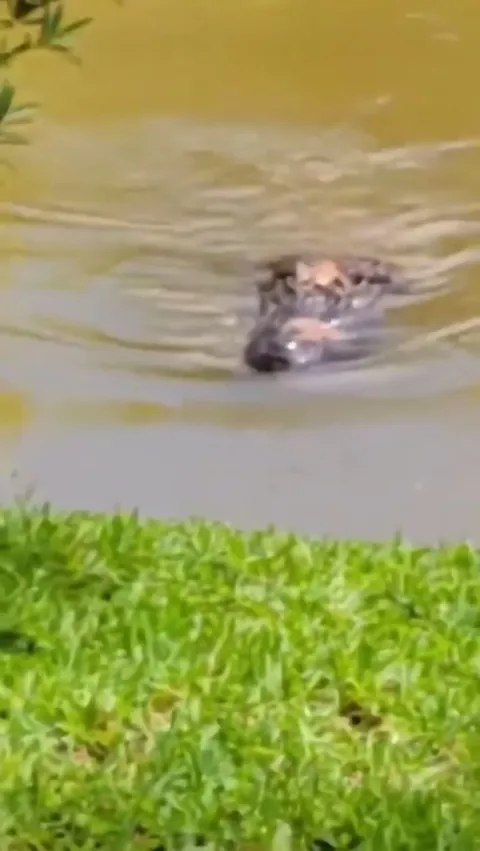 Dude recording could not believe his eyes