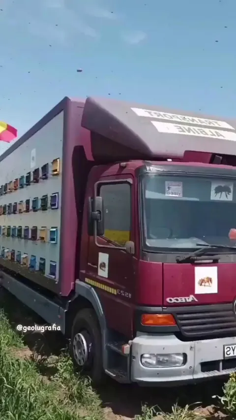 This 'Mobile Beehive' in Romania carries beehives from field to field to help the bees pollinate the flowers.