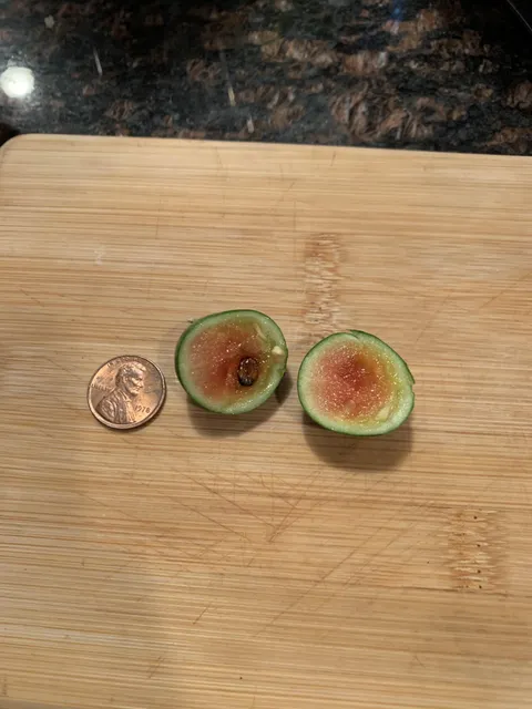 I did it, I grew a watermelon!
