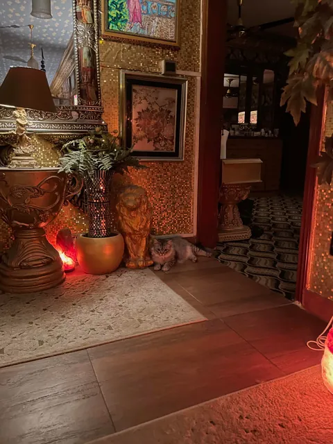 My lounge with my best buds 💕