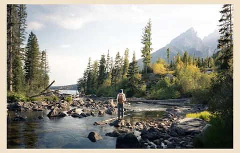 Golden hour in the Tetons