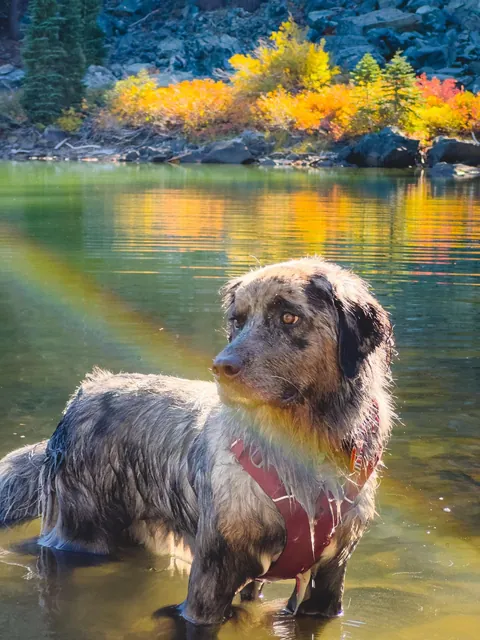 Sir Floofleworth of Lake Cathedral