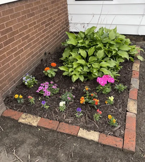 My very first garden of my own!