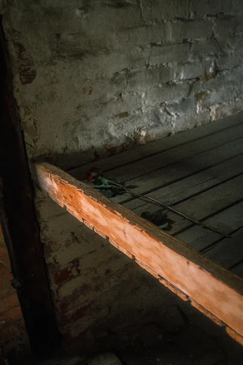 Auschwitz-Birkenau: Nazi German Concentration &amp; Extermination Camp (Poland)