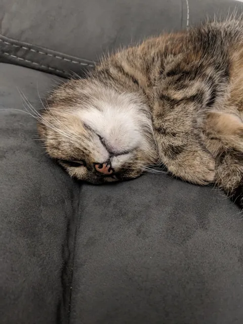 This girl turns 24 next month