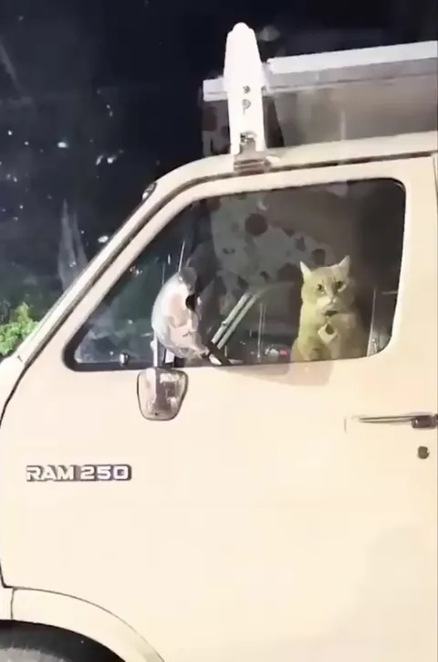 I said no flash photography while I'm driving ma truck