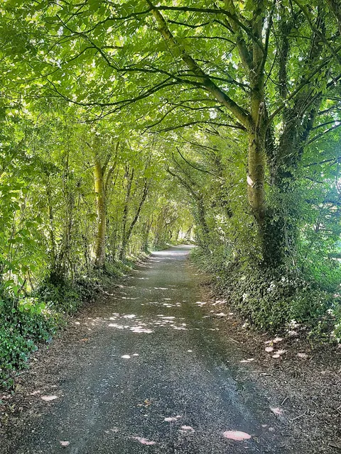 Took my first ever solo trip to Ireland: the Emerald Isle 💚