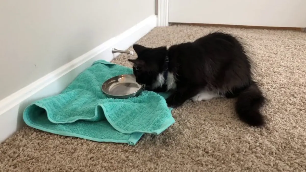 She knows exactly what she is doing