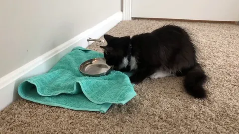 She knows exactly what she is doing