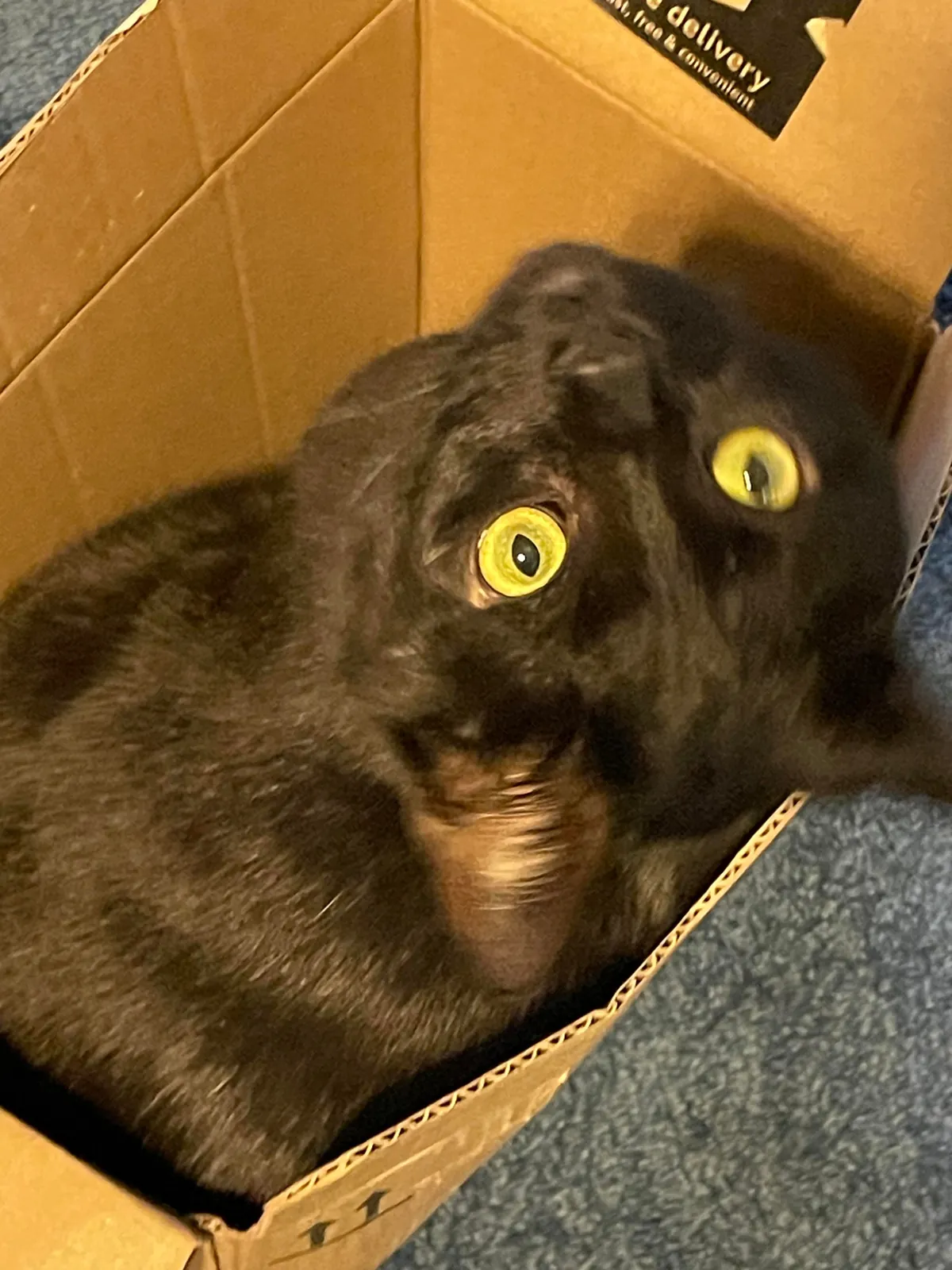 Amazon sent me the wrong thing again. Should I keep it? 😉