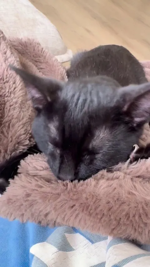 My little bottle baby. Should I break him of this or is it normal behavior for him?