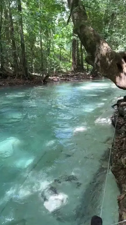 The clear freshwater of the Sonador river in the Dominican Republic.