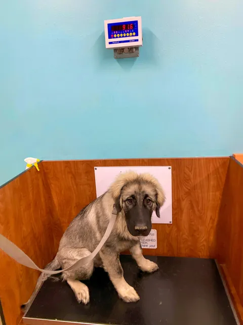 Our boy on his 5 month birthday