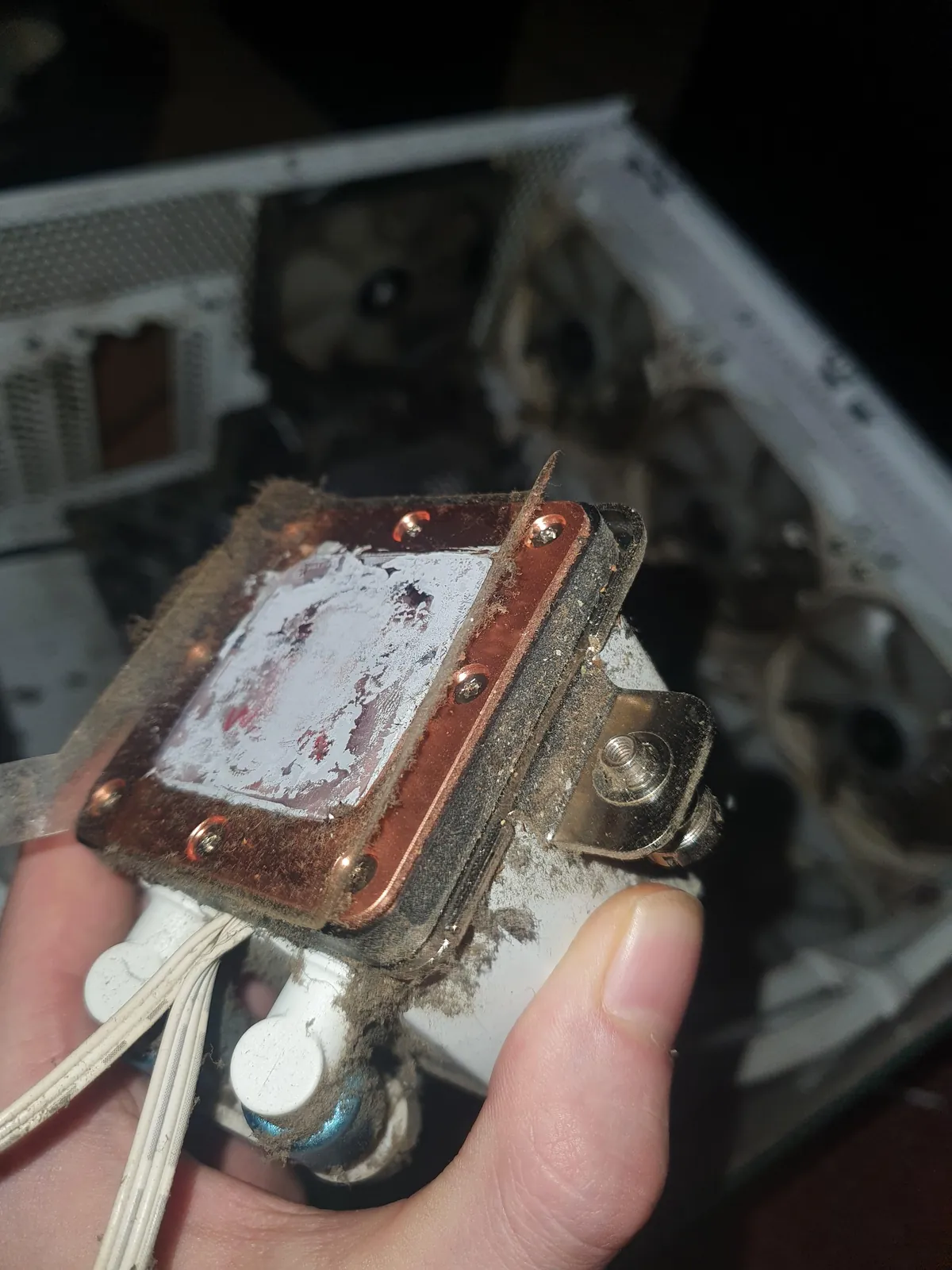 Found this while fixing my friends pc