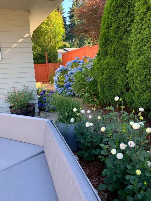 When the Airbnb say there’s a garden side pool and you show up to this