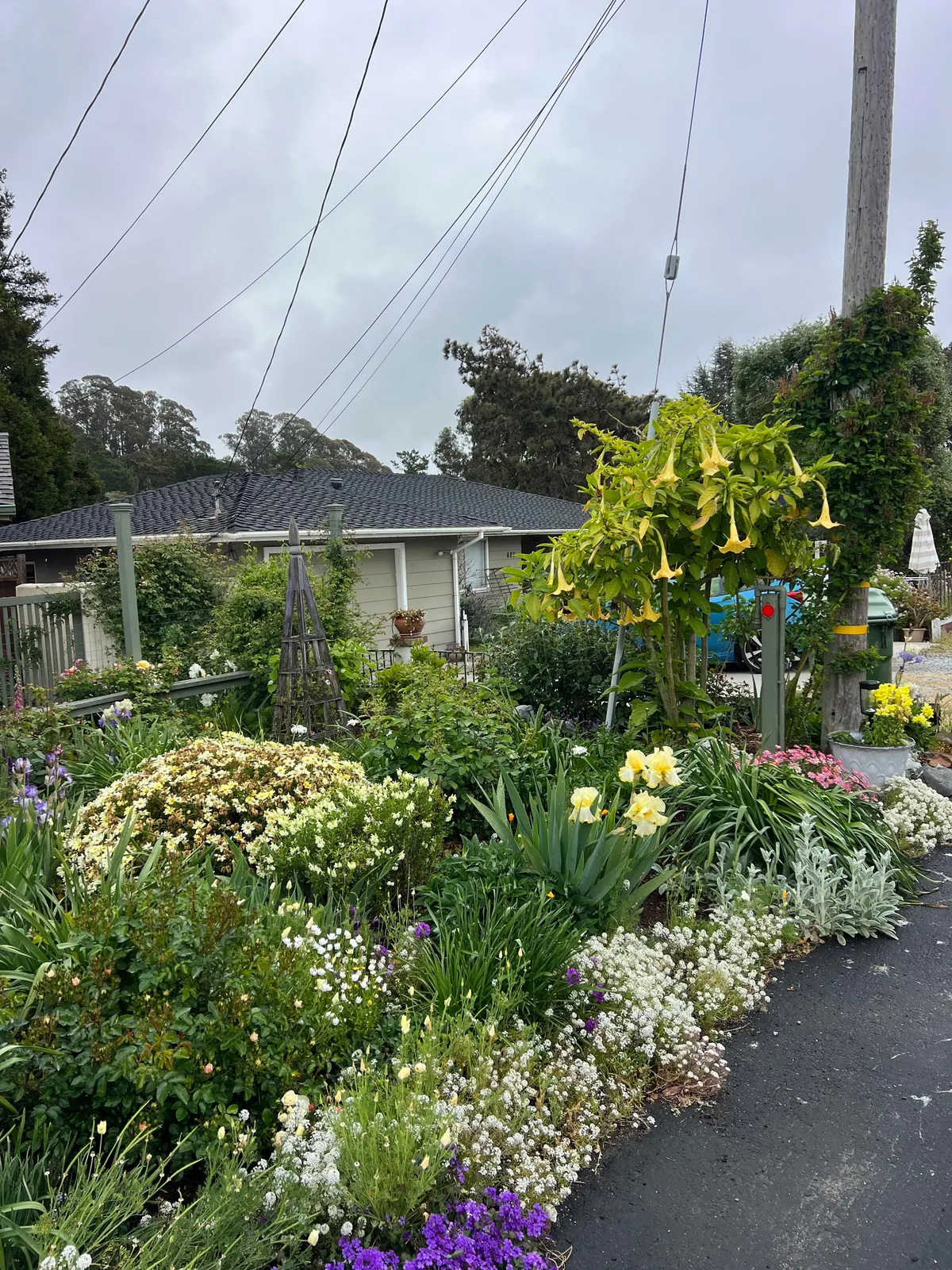 If you love your garden, she’ll love you back.