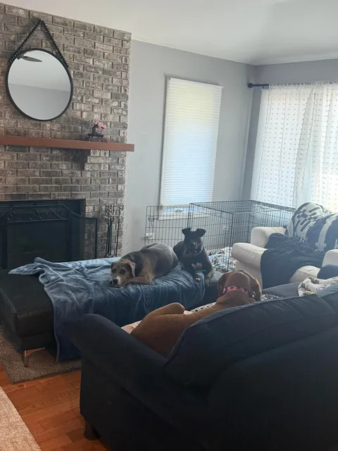 Last Waffles update for today. Cozy and calm after a big day.