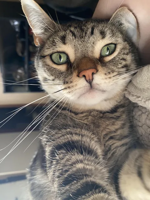 Cutest alarm clock ever.