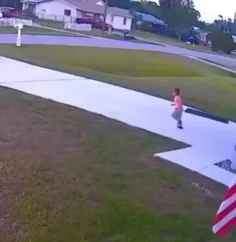 German Shepherd saves his boy