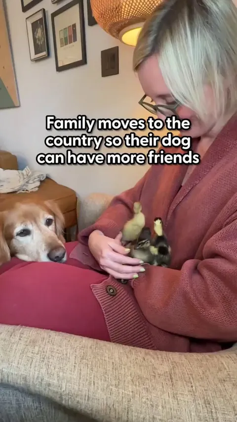 Family Moves to the Country So Their Dog Can Have a Better Social Life
