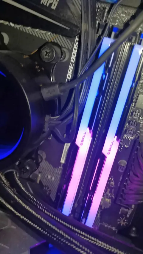 My CPU/GPU got infested by ants when I was gone for a month. I played games and ran benchmarks so they would come out cos of heat. Also left my pc running overnight but they still inside. Help