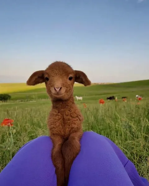 how cute is this smile?