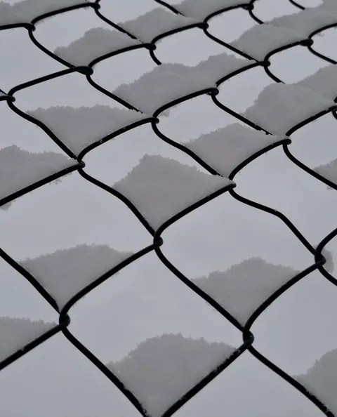 The snow on this wire fence makes a great optical illusion