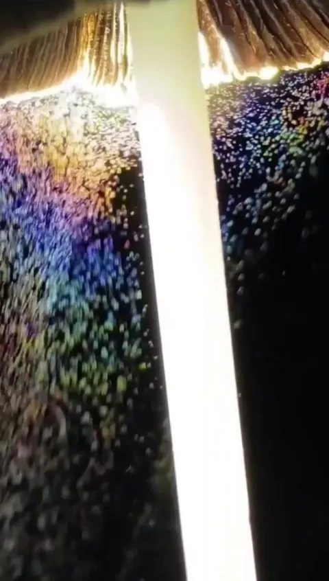 Mica cap mushroom releasing spores