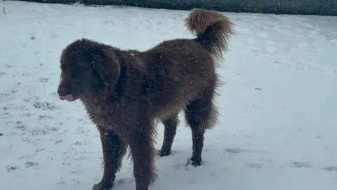 Guess who woke up to the best day ever