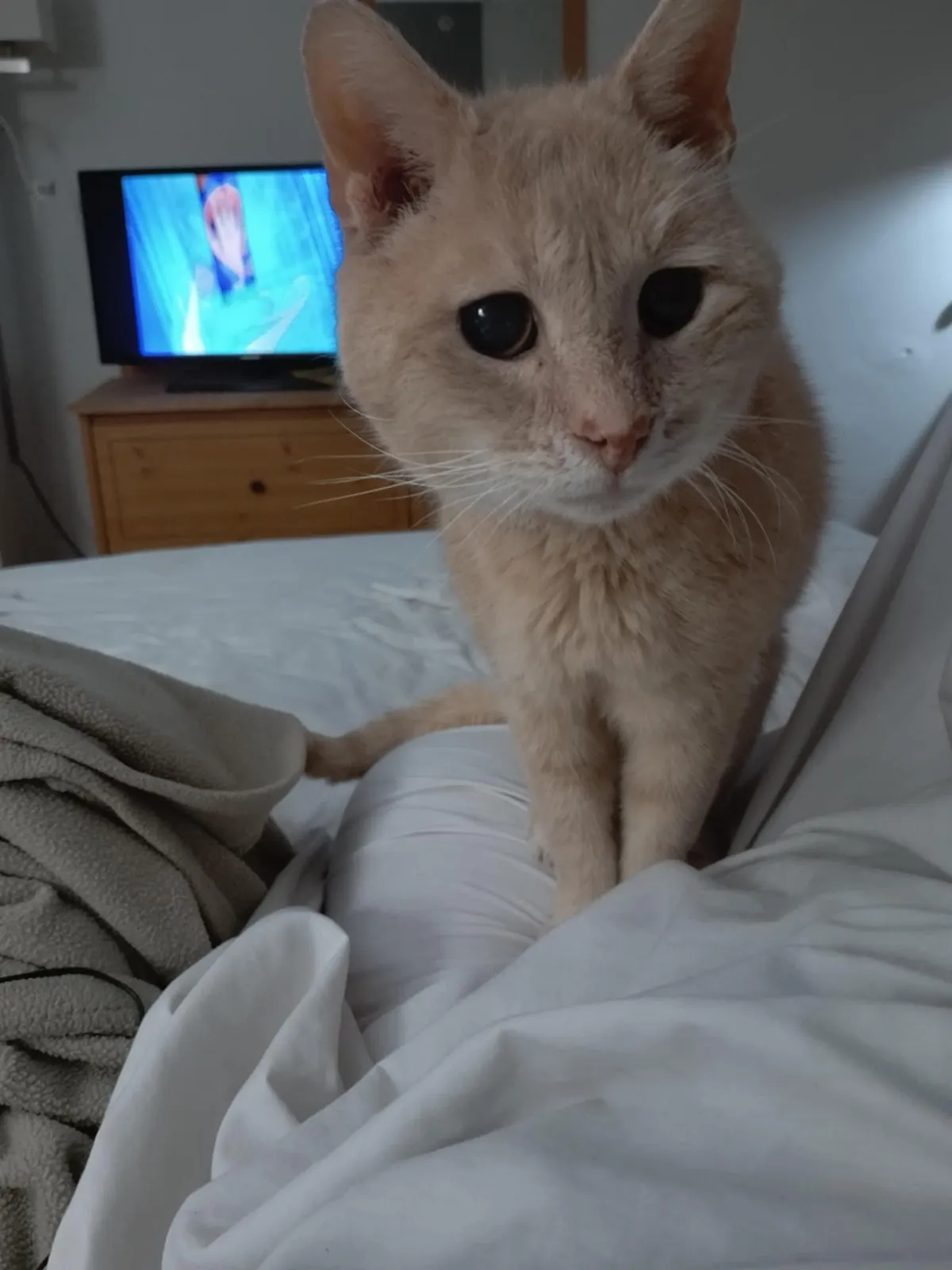 He's my friend. He's 20. I love him.