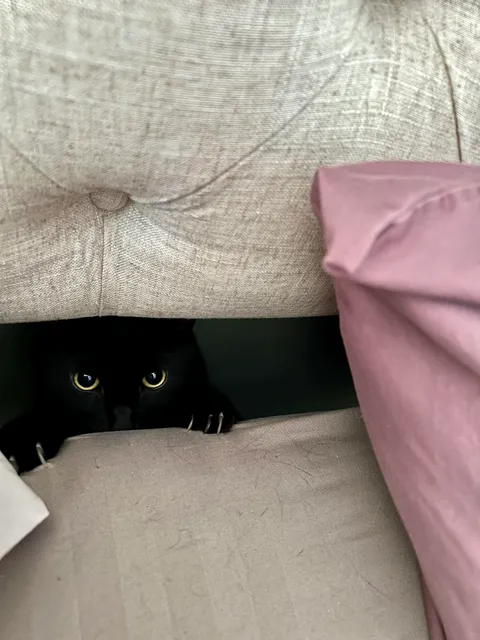 He’s trying to lure me behind the bed with red balloons.