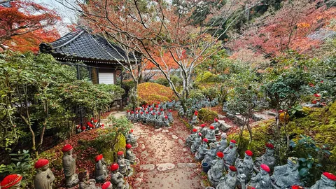 Japan in fall 🍁⛩️🚴‍♀️